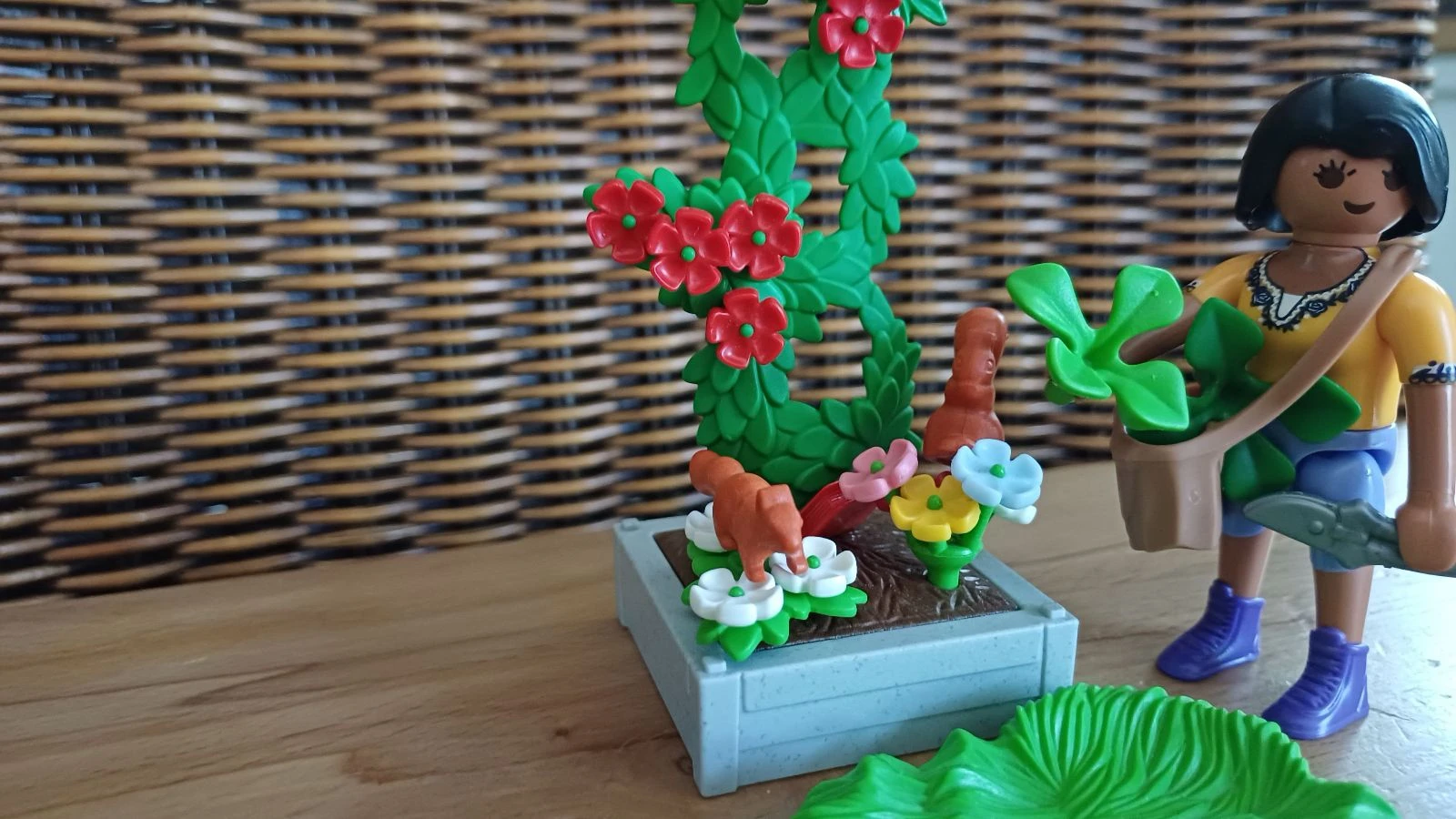 Herboriste playmobil – photo 5
